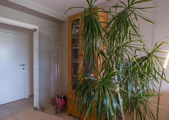 Rustig Gelegen Te Oostende/middelkerke 公寓